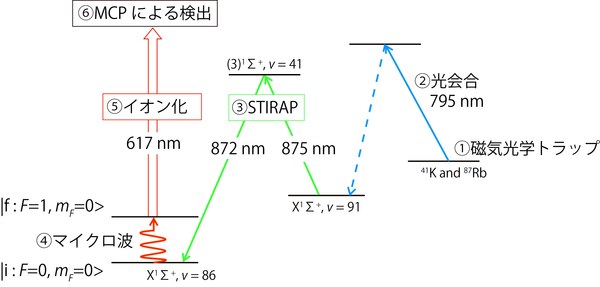 図１　実験の概略図<br/>初めに磁気光学トラップによってRb原子とK原子のレーザー冷却を行う。その冷却原子集団から光会合によってKRb分子を生成する。その後STIRAPによってμの不変性検証に用いる準位へと遷移させる。マイクロ波を照射して遷移した分子をパルスレーザーでイオン化しMCP(イオン検出器)で高感度に検出する