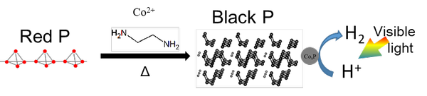 赤リンからの黒リン合成と黒リン上での水素生成反応模式図